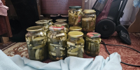Соль и зелень в топку: нашла способ солить огурцы, чтобы хрустели как первый снег в лесу - ProGorod.Ru