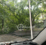 Упавшее дерево загородило въезд в один из дворов Благовещенска (фото) - Amur.Life