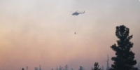 Власти ЯНАО запросили у Авиалесоохраны помощь в тушении пожаров - 2Goroda.Ru