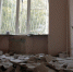 Фото Екатерины Христозовой - Tumentoday.Ru