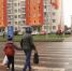 Более 70 человек пострадали в ДТП на зебрах в Барнауле: тревожная статистика - Сетевое издание Толк