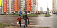 Более 70 человек пострадали в ДТП на зебрах в Барнауле: тревожная статистика - Сетевое издание Толк