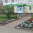 Сделаем Шарыповский округ красивее и уютнее - Sharypovo.Today