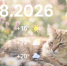 _KDYei3e9AqFMuFsjjo-OToJiuF0hfN7dNzVbp2bbBGuwm20o1ADGYQeziYfCjHp3mK8JW6W85yWcfQXFEcMVQoo - ЗА Новомосковск