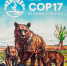 COP17: Мазаалай стал символом памятной почтовой марки Монголии - ИА Байкал Медиа Консалтинг