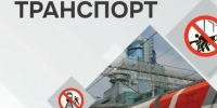 С 20 по 30 августа в России проходит акция «Безопасный транспорт» - Администрация г. Белово
