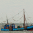 Фото: Andreas Vogel/Shutterstock/Fotodom - Ямал-Медиа