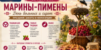 Почему 20 августа нельзя обижать аистов и нужно раздавать мед? - Bloknot-Voronezh.Ru