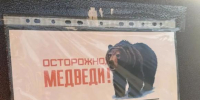 В день гибели туристки медведь-людоед чуть не растерзал ещё одну женщину - Barneos22.ru