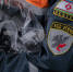 МКУ «УГОЧС и ОПБ»: денежное вознаграждение за содействие в выявлении виновников в возникновении лесных пожаров на территории республики - Администрация г. Якутск