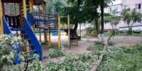 В «чистый четверг» ульяновцы выйдут на масштабную уборку города - Ульяновск сегодня