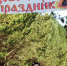 Отчет о проведении Медово-сырного праздника. - Красногорский район