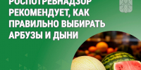 Роспотребнадзор рекомендует, как правильно выбирать арбузы и дыни. - Катайский муниципальный округ