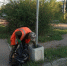 Коммунальные службы продолжают работы по содержанию улиц и общественных территорий Рубцовска - Rubtsovsk.Info