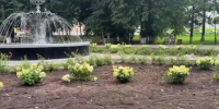 Вокруг фонтана в парке «Липки» во Владимире высаживают новые растения - Progorod33.Ru