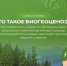 Что такое биогеоценоз? - Министерство природных ресурсов