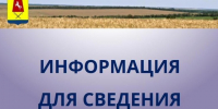 Муниципальные услуги стали доступнее — теперь их можно получить в электронном виде. - Александровский муниципальный округ