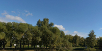 Старозагородная роща - РИА Омск-информ