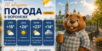 Лишь бы не сгореть: прогноз погоды в Воронеже - Bloknot-Voronezh.Ru