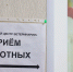 Фото: Андрей Ткачёв / «Ямал-Медиа» - Красный Север