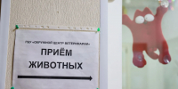 Фото: Андрей Ткачёв / «Ямал-Медиа» - Красный Север