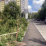 Во Владимирской области по проекту «Благодвор» уже обновили 231 территорию - Progorod33.Ru