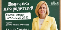 Иллюстрация: ПАИ - InformPskov.Ru