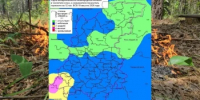 Сводка пожароопасности на 19.08.2026 - Министерство лесного хозяйства