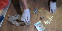 JPG Файл - УМВД Вологодской области