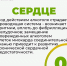 Изображение без описания. - Миасский городской округ