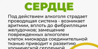 Изображение без описания. - Миасский городской округ