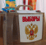 Выборы Мария Смитюк, ИА PrimaMedia.ru - KamchatkaMedia.Ru