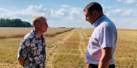 В Колышлейском районе продолжается уборочная страда - Колышлейский район