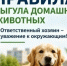 Безопасный выгул собак: правила и ответственность.. - Свечинский муниципальный округ