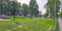 На «Реке времени» пилят деревья - Chepetsk.ru