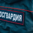 Росгвардейцы пресекли дебош на ул. Карпинского в Пензе - Пенза-Обзор