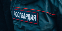 Росгвардейцы пресекли дебош на ул. Карпинского в Пензе - Пенза-Обзор