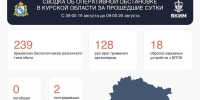 239 украинских беспилотников сбили в Курской области за сутки - РИА Курск