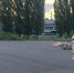 В борисоглебском поселке Миролюбие благоустроили площадку для катания на роликах - РИА Воронеж