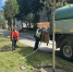 В Калуге высадят 40 лип на улице Социалистической - Калужский перекрёсток