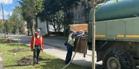 В Калуге высадят 40 лип на улице Социалистической - Калужский перекрёсток