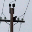 image - GazetaRB.Ru