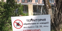 Жителям Брянской области напомнили, что делать при укусе клеща - ИА Наш Брянск.ru