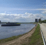 Сап-фестиваль на границе с Китаем проведут в Благовещенске - Teleport2001.Ru