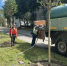 В Калуге на улице Социалистической появится 40 новых лип - Комсомольская Правда