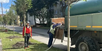В Калуге на улице Социалистической появится 40 новых лип - Комсомольская Правда