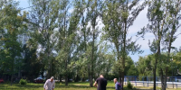 Инновационный проект «ШАГИ» («Школьная академия городских инициатив»), начатый по инициативе Главы города Самара Ивана Николаевича Носкова, подходит к завершению - Администрация городского округа Самара