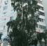 Fh6pGo_WQ3y4zefB5wLcZn3Ur4vUJDZnC2tIzz-7Uz-euIGh56hs9RzRqOww_Hg2zPc4fOcgLQz0yVNHHW91-izK.jpg - Ozersk74.Ru