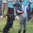 кинолог с собакой - Администрация г. Рубцовск