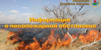 В Калмыкии сохраняется чрезвычайная пожароопасная обстановка - Интернет-газета Степные вести